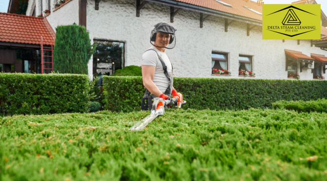 8 Lawn Mowing Blunders to Avoid in 2026