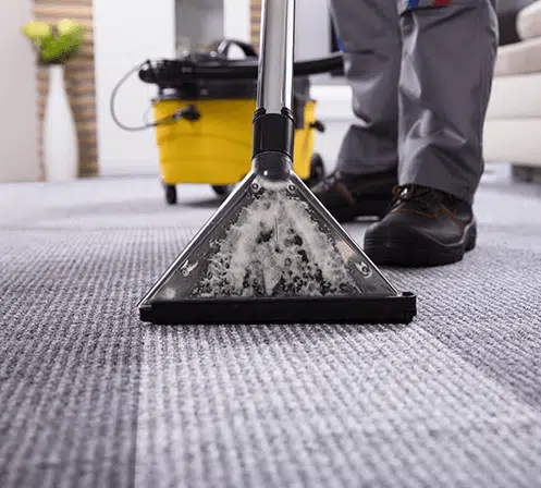 Carpet Steam Cleaning Experts in Alexandria