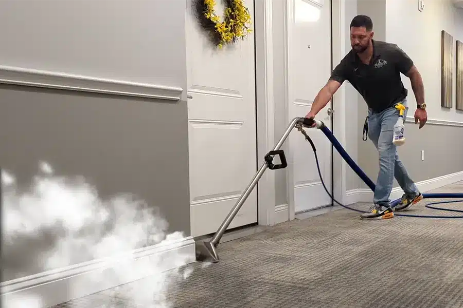 Carpet Steam Cleaning in Alexandria